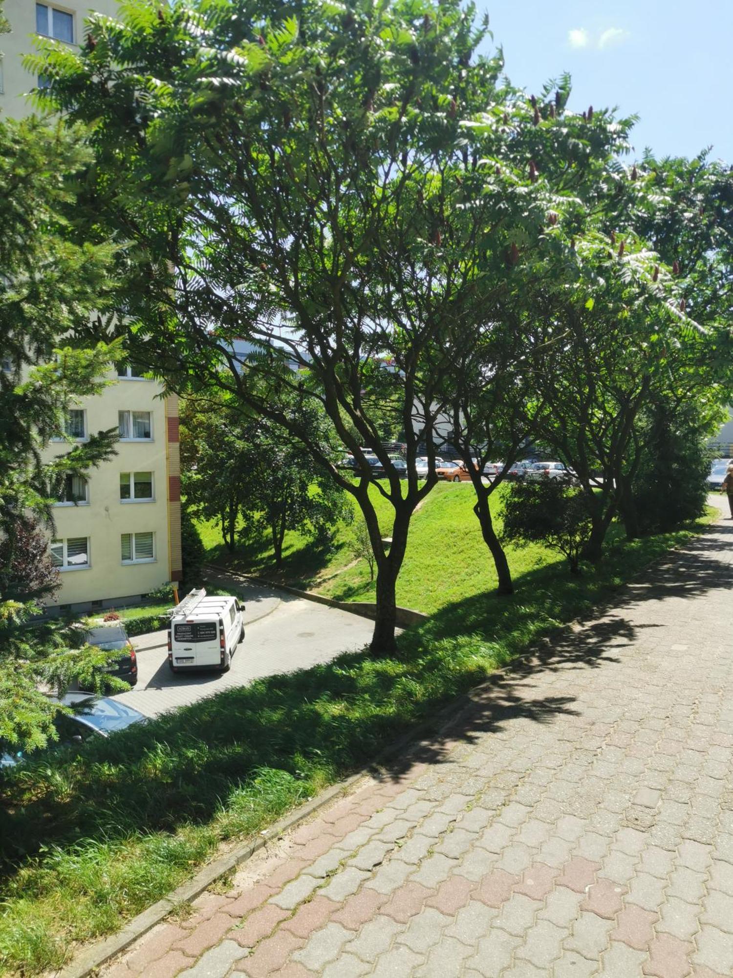 Przytulne Mieszkanie W Centrum Jastrzębie Zdrój Esterno foto